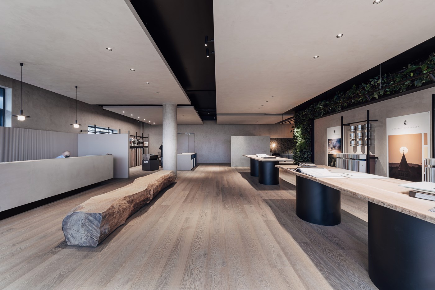 Projet Peintures Robin au Luxembourg