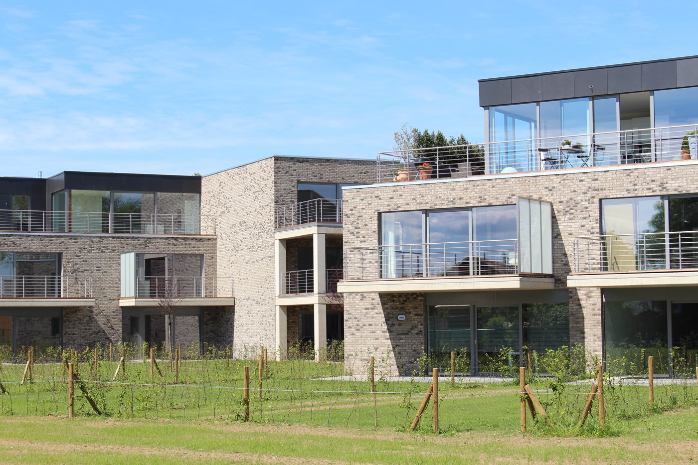 Projet Résidence Curtius - Extérieur